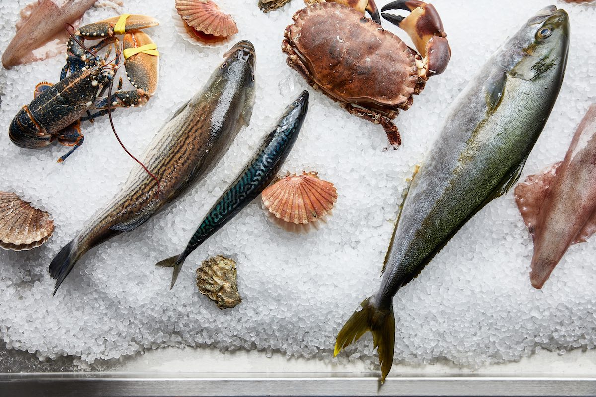 London’s Finest Daily Fresh Catch